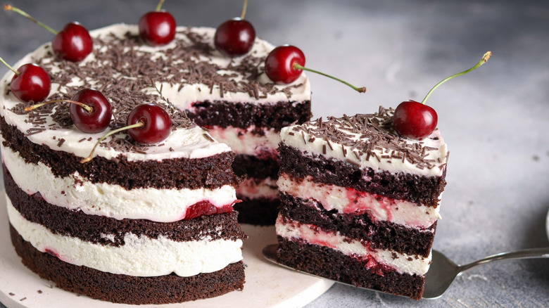 A piece of Black Forest cake is removed from the cake