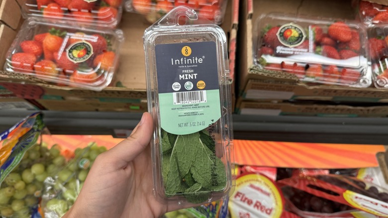 Assorted herbs in Aldi store