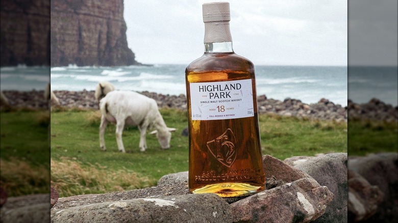 A bottle of Highland Park 18 on a rock next to a sheep grazing by the ocean