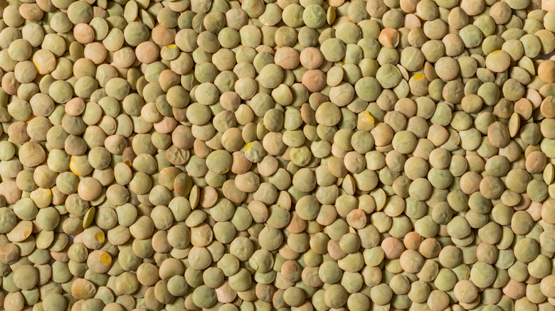 Lentils.