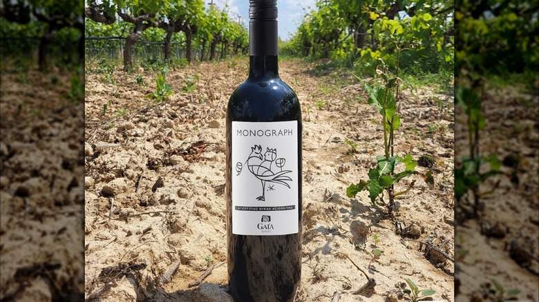 A bottle of Gaia Monograph Agiorgitiko in a vineyard
