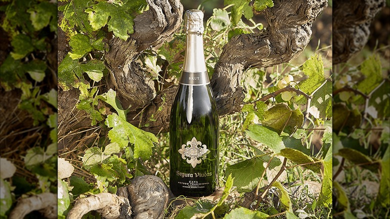 A bottle of Segura Viudas Brut Reserva Cava next to a tree