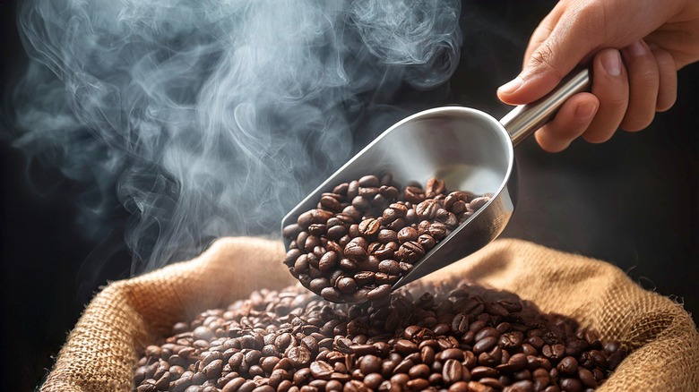 A scoop of coffee beans taken from a bag