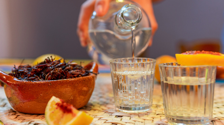 Pouring mezcal into a glass