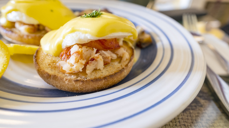 A plate of lobster eggs Benedict