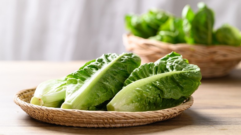 Three heads of lettuce in a bowl on a table