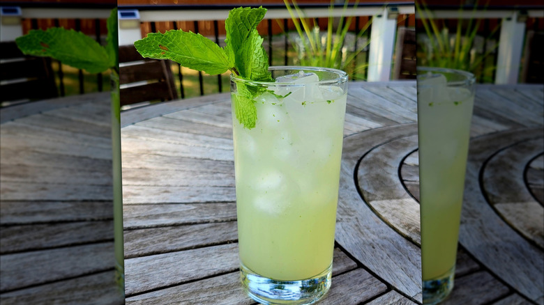 Refreshing highball gin cocktail with herb garnish