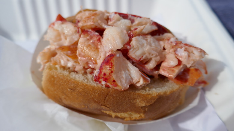 Lobster roll in a bun