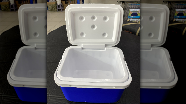 blue cooler with white inside and open top that is sitting on floor