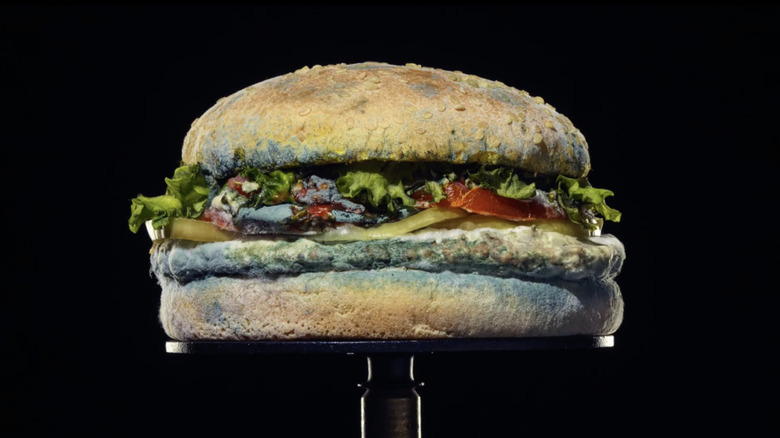 moldy Burger King Whopper