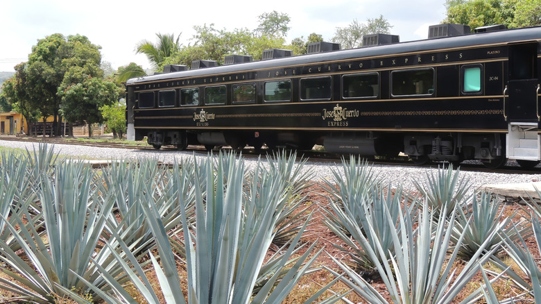 The Jose Cuervo Express train