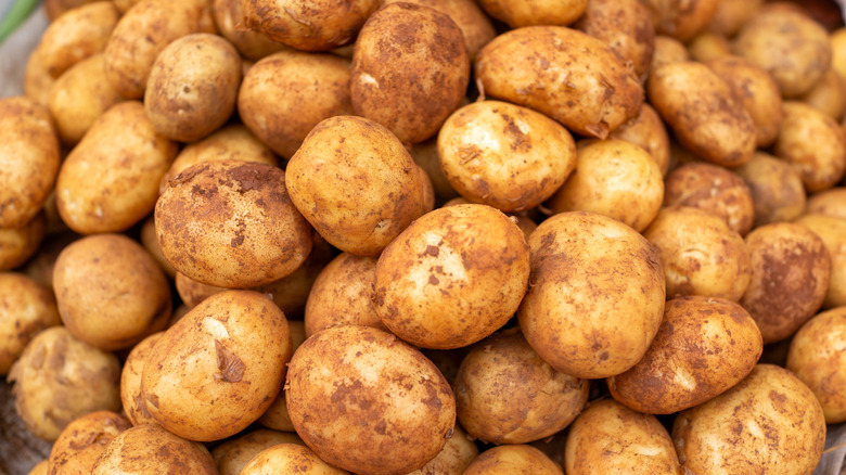 pile of potatoes