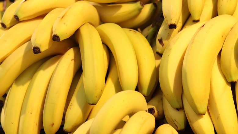 Pile of bunches of bananas