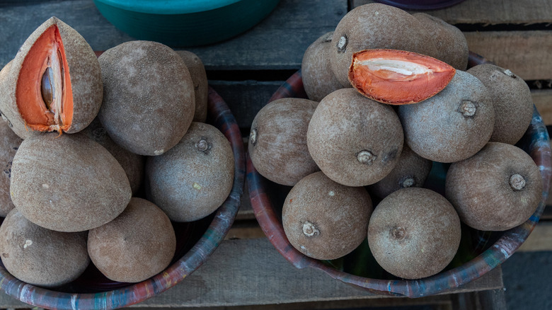 sapodilla fruit
