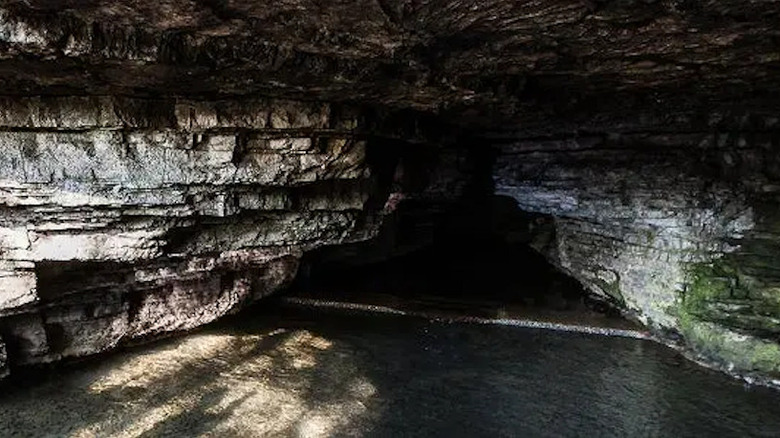 Cave Springs Hollow at the Jack Daniels distillery