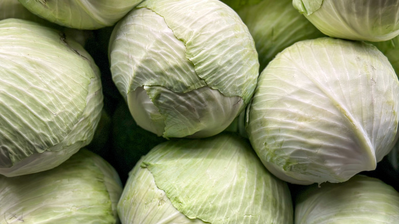 Bunches of green cabbage.