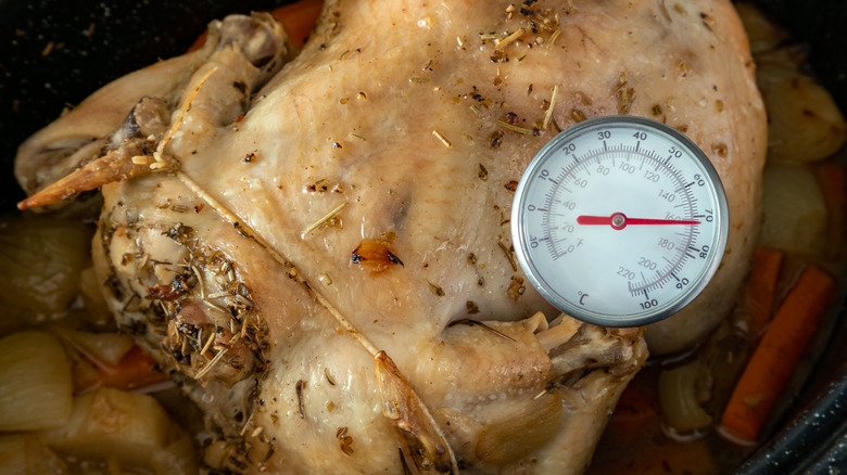 Chicken with instant read thermometer