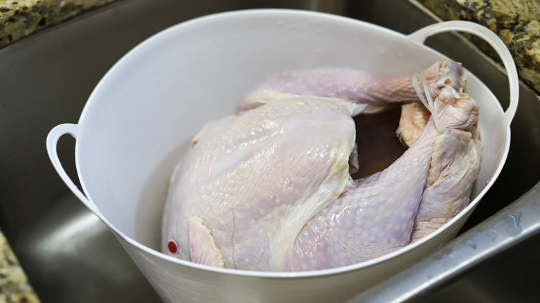 Whole turkey thawing