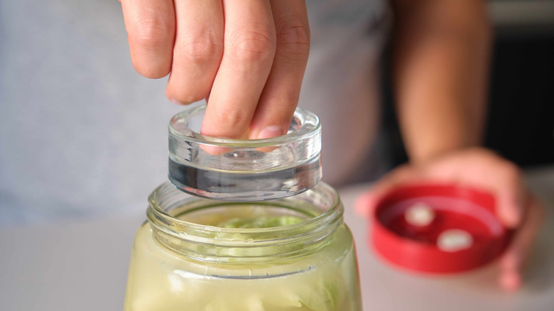 Person putting fermentation weight in jar