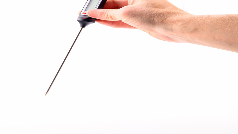 An hand holding a digital food thermometer against a white background