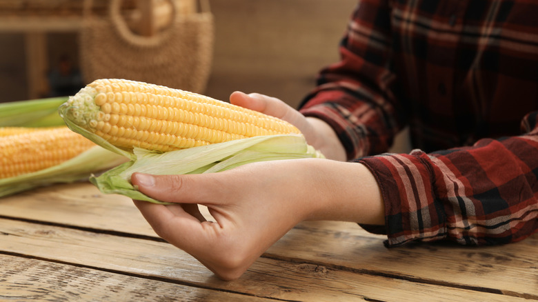 hands shucking corn on table