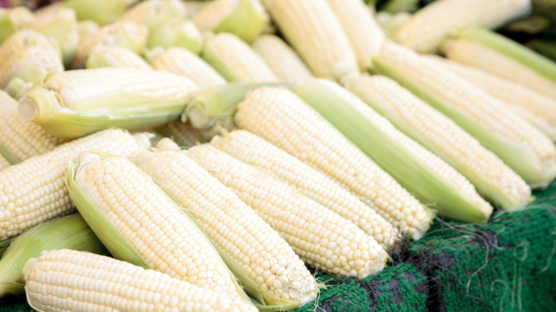 shucked corn on table at farmers market
