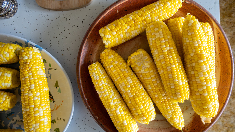 shucked corn on the cob in a pot