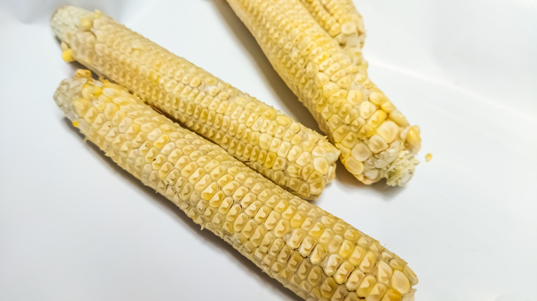 corn cobs on a white background