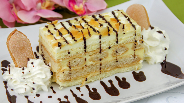 Malakoff cake on a rectangular white plate garnished with whipped cream and chocolate sauce