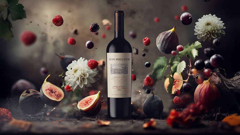 Bottle of Don Melchor surrounded by floating fruit