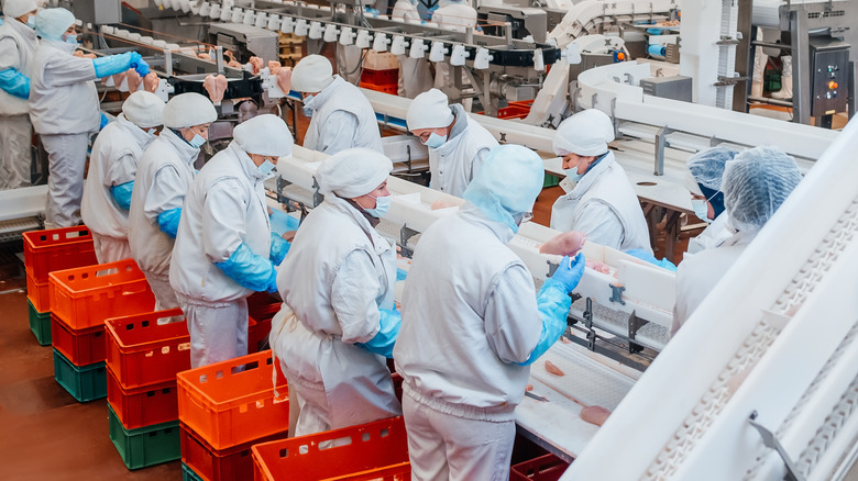 Factory workers in a pork processing plant