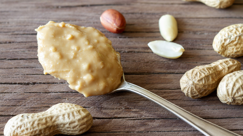 Spoonful of crunchy peanut butter surrounded by peanuts