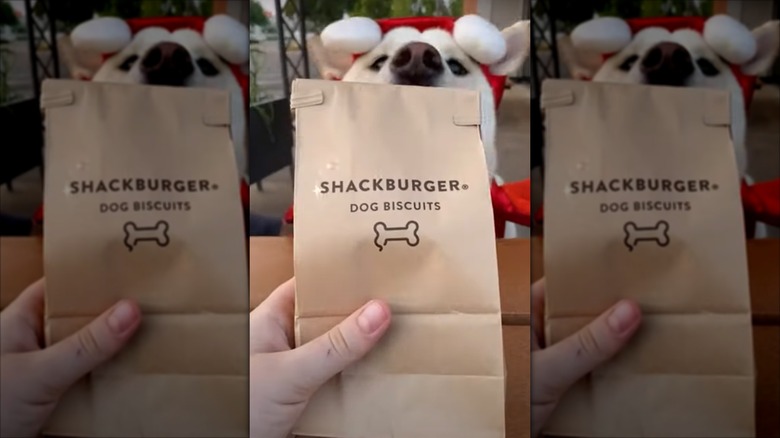 A dog hiding behind Shake Shacks Bag O' Bones®