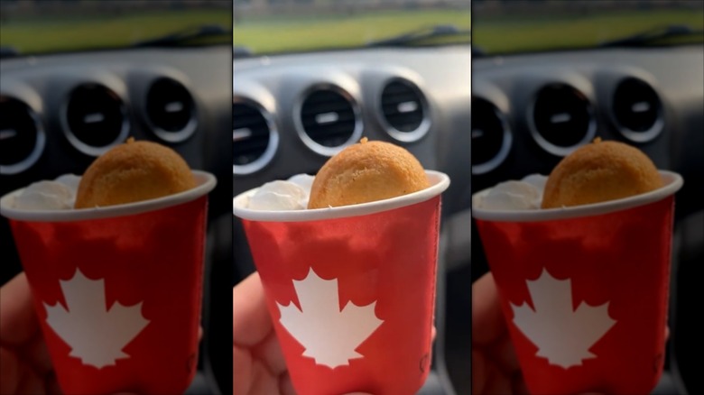 A Tim Horton's pup cup