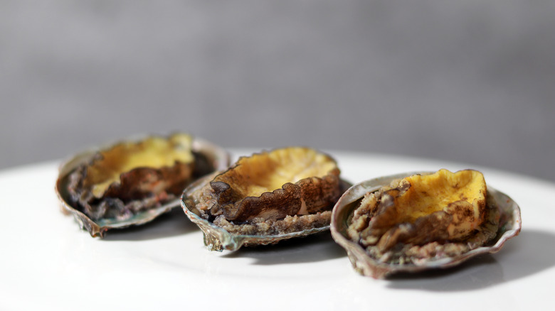 Three abalone on a white plate