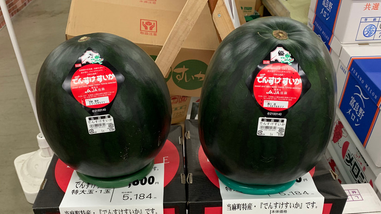 Two Densuke watermelons are displayed in a Japanese market