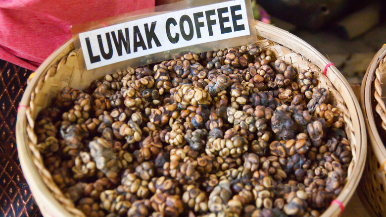 Basket of Kopi luwak coffee beans