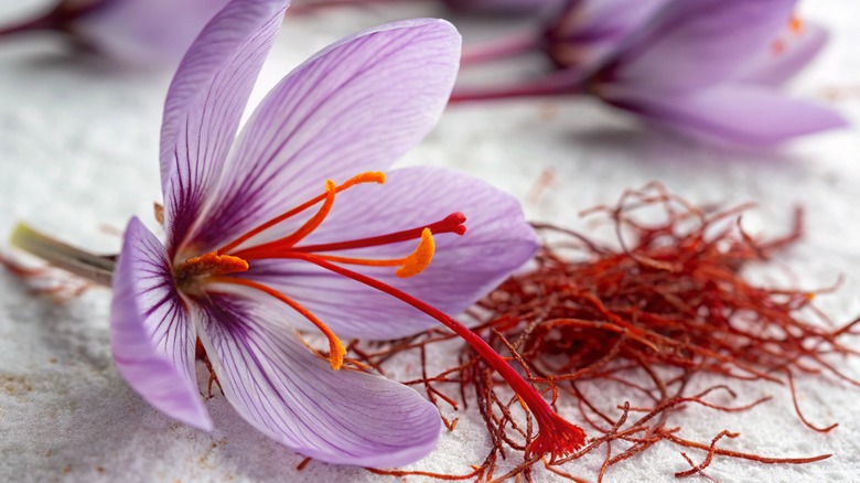 Crocus sativus flower and saffron threads