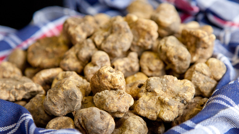 Pile of white truffles at the market