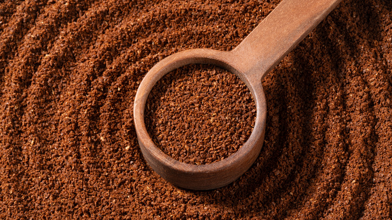 Ground coffee in wooden spoon