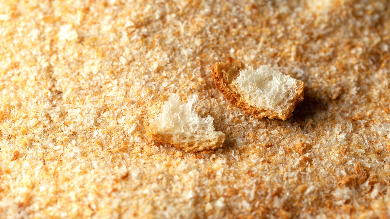 Bread crumbs and two pieces of bread crusts