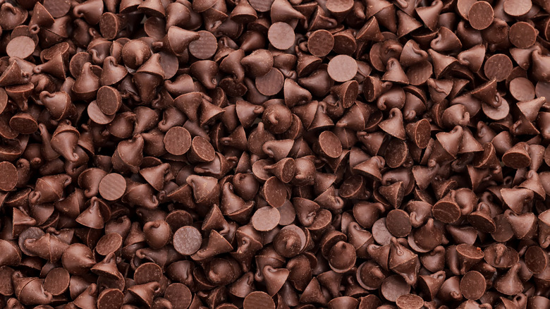 Overhead view of chocolate chips