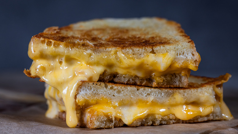 Cheesy grilled cheese sandwich on a plate
