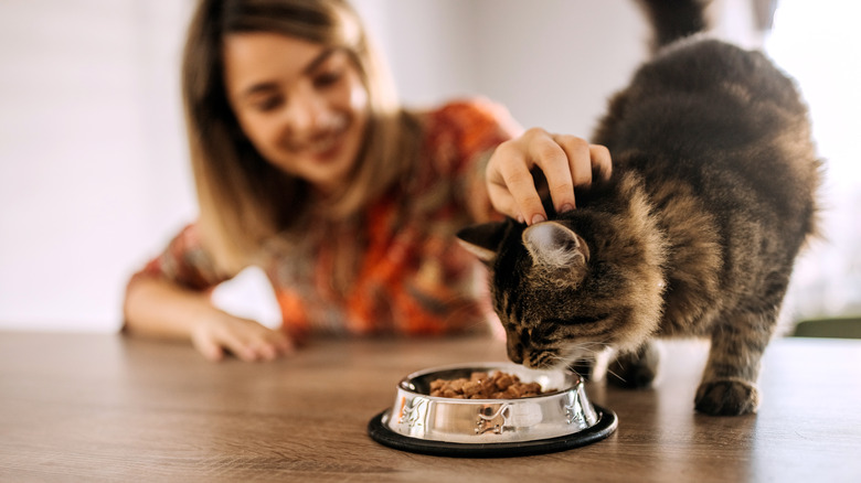 Woman feeding her cat