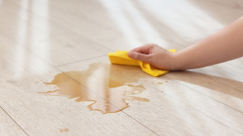 Close-up of woman wiping spilled liquid on floor