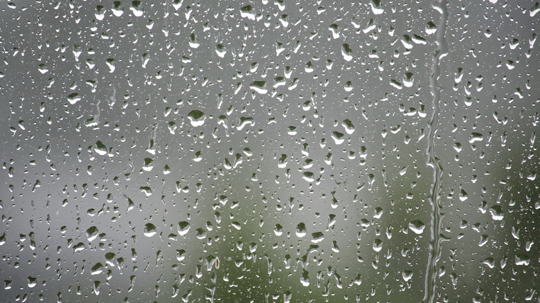 Rain on a window