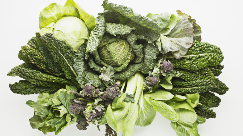 Types of cabbage