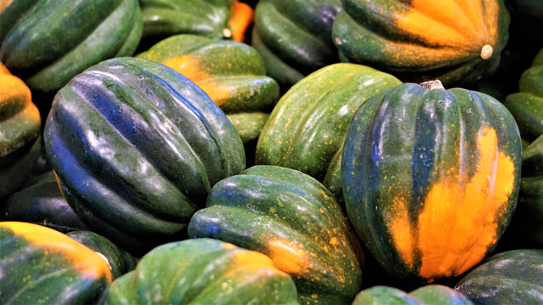 Acorn squash in a bin at the farmer's market