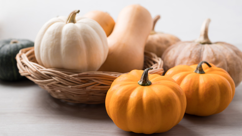 Pumpkins and squash in a basket