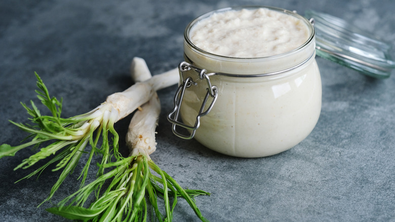 Creamy hoseradish sauce in a glass jar with fresh horseradish root alongside